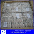 BQF Baby squid in wholesale